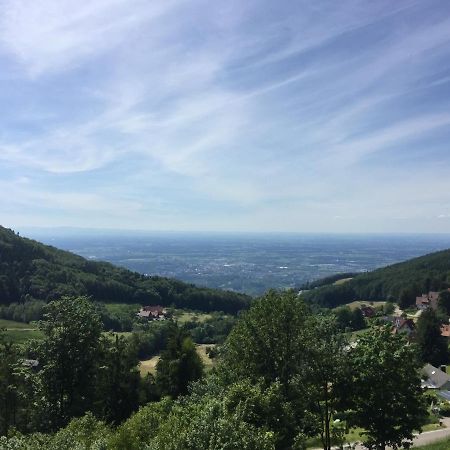 Апартаменты Panorama Point Засбахвальден Экстерьер фото